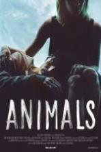 Animals ( 2014 )