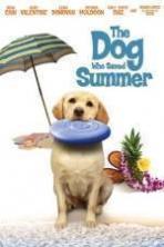 The Dog Who Saved Summer ( 2015 )