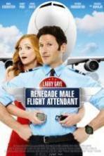 Larry Gaye: Renegade Male Flight Attendant ( 2015 )