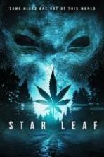 Star Leaf ( 2015 )