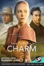 Love Finds You in Charm ( 2015 )