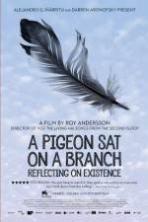 A Pigeon Sat on a Branch Reflecting.(2014)