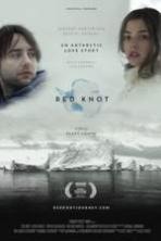 Red Knot (2014)