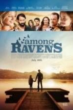 Among Ravens ( 2014 )