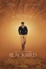 Blackbird_2014