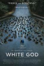 White God ( 2014 )
