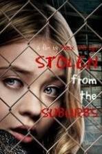 Stolen from the Suburbs (2015)