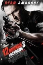 12 Rounds 3: Lockdown ( 2015 )