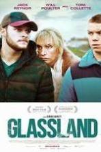 Glassland ( 2014 )