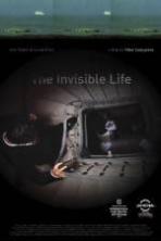 The Invisible Life ( 2013 )