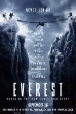 Everest ( 2015 )