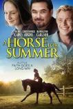 A Horse for Summer (2015)