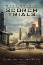 Maze Runner: The Scorch Trials ( 2015 )