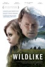Wildlike ( 2014 )