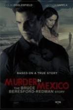 Murder in Mexico: The Bruce Beresford-Redman Story ( 2015 )