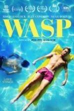 Wasp ( 2015 )