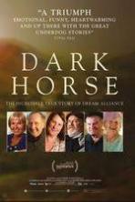 Dark Horse ( 2015 )