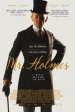 Mr. Holmes ( 2015 )