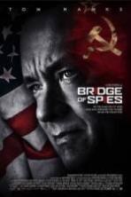 Bridge of Spies ( 2015 )