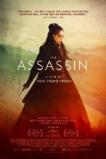 The Assassin (2015)