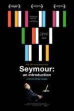 Seymour An Introduction (2015)