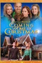 Coming Home for Christmas (2013)