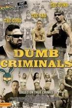 Dumb Criminals The Movie (2015)