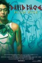 David Choe High Risk (2015)