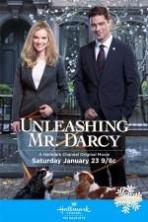 Unleashing Mr Darcy (2016)