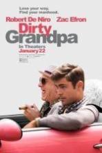 Dirty Grandpa ( 2016 )