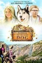 Timber the Treasure Dog ( 2016 )