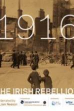 1916 The Irish Rebellion ( 2016 )