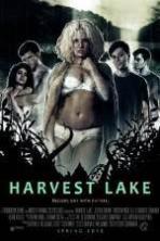 Harvest Lake ( 2016 )