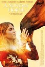 A Sunday Horse ( 2016 )