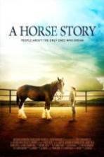 A Horse Story (2016)