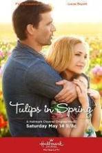 Tulips in Spring (2016)