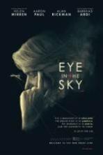 Eye in the Sky ( 2016 )
