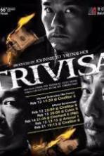 Trivisa ( 2016 )