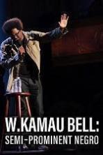 W. Kamau Bell: Semi-Promenint Negro ( 2016 )
