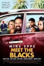 Meet the Blacks (2016)