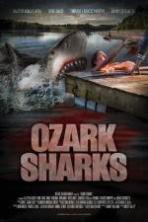 Ozark Sharks ( 2016 )