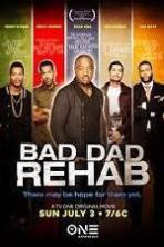 Bad Dad Rehab (2016)