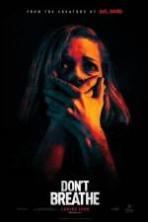 Dont Breathe (2016)