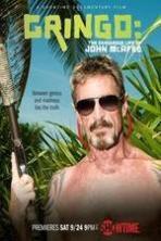 Gringo The Dangerous Life of John McAfee (2016)