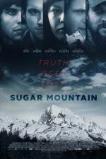 Sugar Mountain (2016)