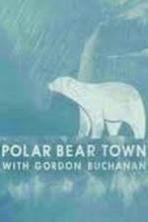 Life in Polar Bear Town with Gordon Buchanan (2016)