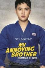 My Annoying Brother (2016)