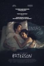 Paterson ( 2016 )