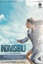 Indivisible (2016)