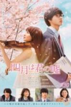Your Lie in April (2016)